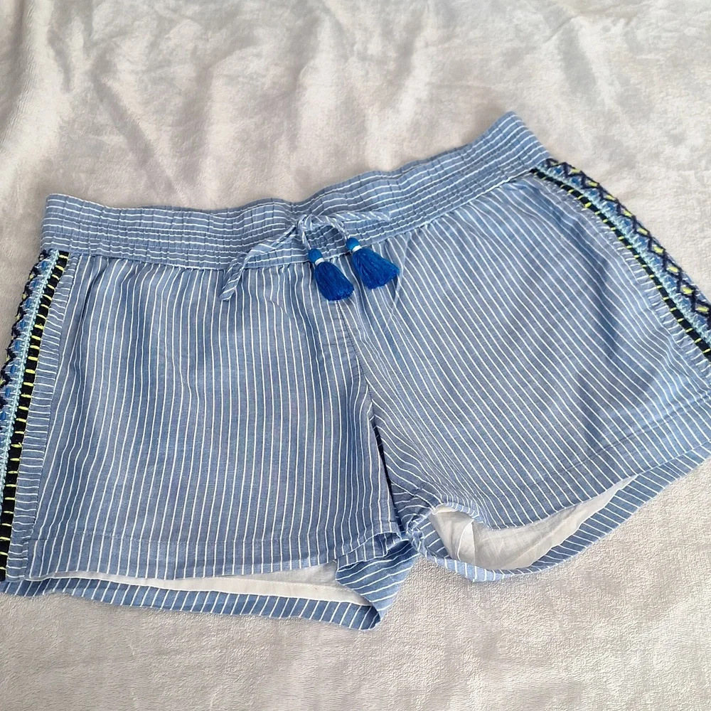 Vineyard Vines blue striped embroidered shorts, small - Picture 1 of 10